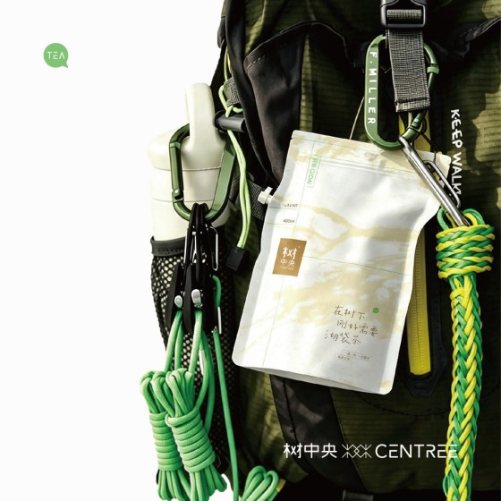 树中央老白茶紧压沏茶一沏一袋方便携带白茶出差旅游户外调味茶