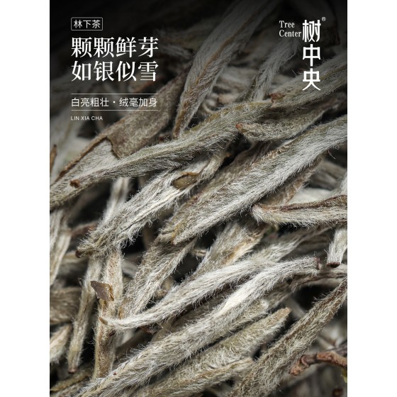 树中央2021年特级白茶白毫银针明前高山新茶春茶罐装茶叶银针高档