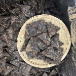 福鼎白茶2016老白茶寿眉三角紧压茶饼袋装茶叶福利款